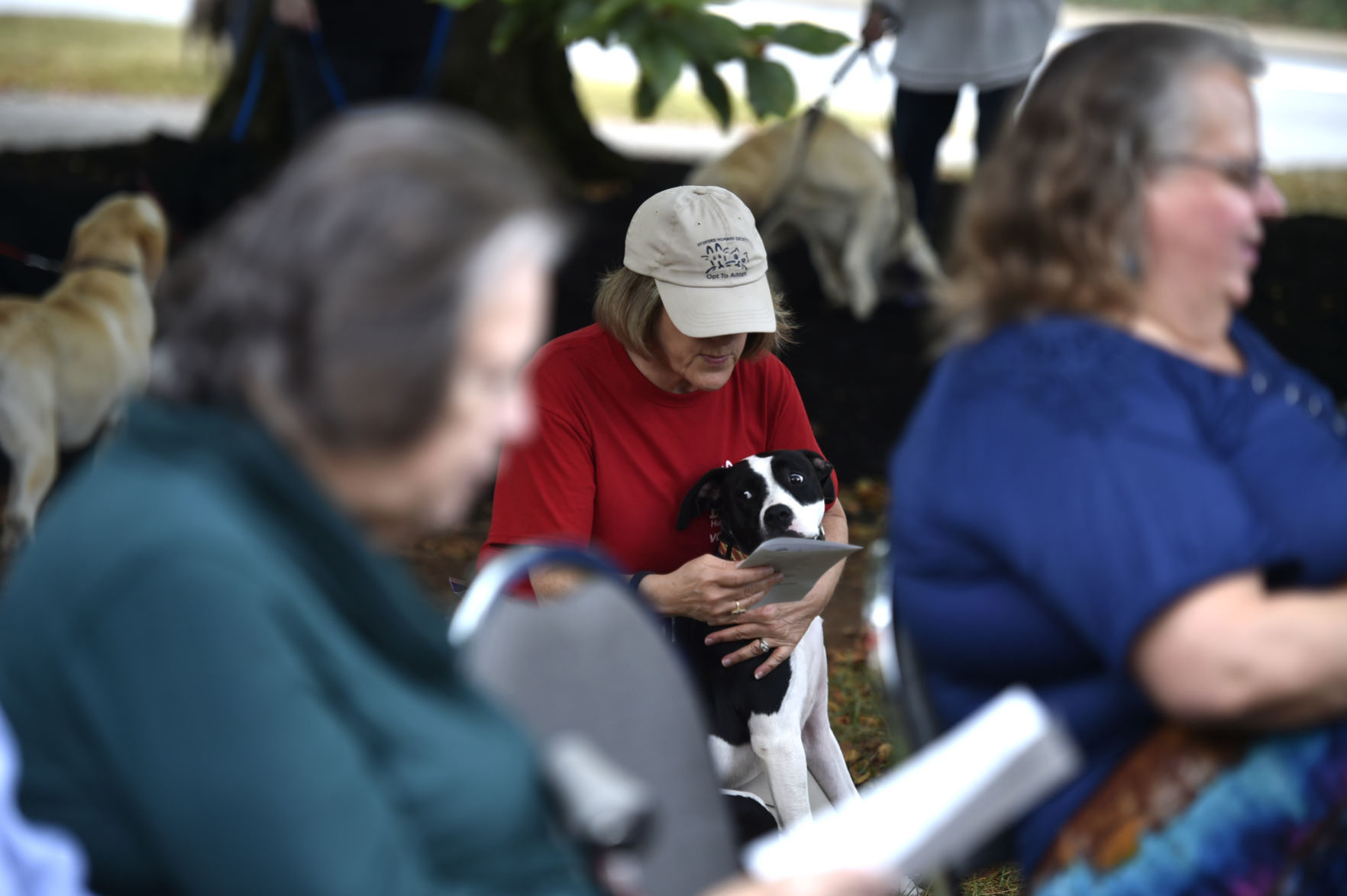 Blessing of the Animals 04